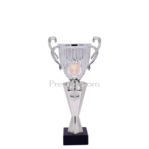 Copa Oviedo - Image 4