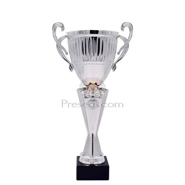Copa Oviedo - Image 2