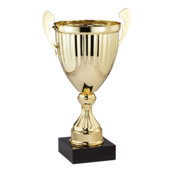 Copa AMC320